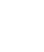 dog and cat