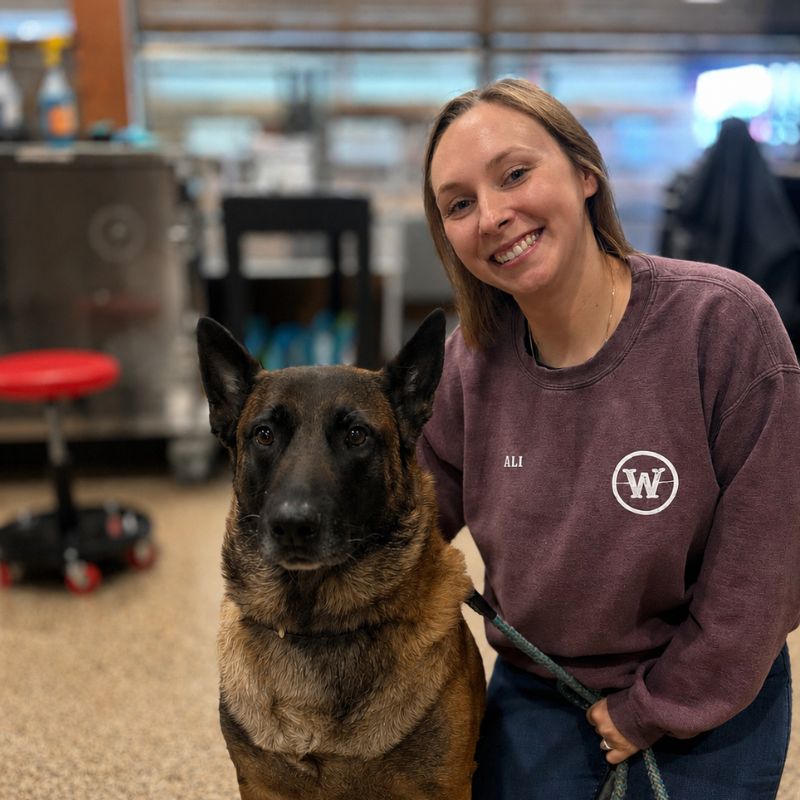 A person kneels beside a black-and-tan German shepherd wearing a green